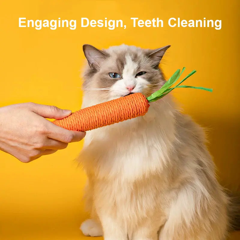 Lovely Caves Cotton Carrot Cat Chew Toy, 2 Count