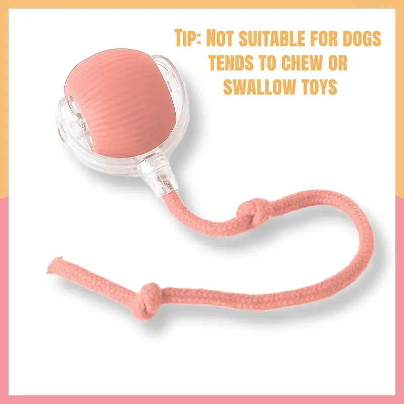 Interactive Cat Toys for Indoor Cats,Usb Rechargeable, Fast Rolling Cat Ball Toy on Rug, Bird Chirping & Motion Activated Cat Ball, Anti-Depression Pet Toy Fun Gift with Light,Playtime Exercise Entertainment
