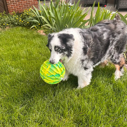 Flexball Sport Ball, Dog Toy