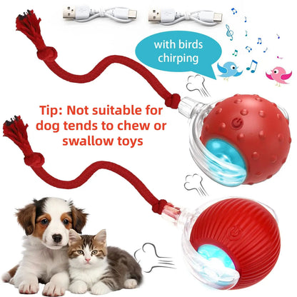 Interactive Cat Toys for Indoor Cats,Usb Rechargeable, Fast Rolling Cat Ball Toy on Rug, Bird Chirping & Motion Activated Cat Ball, Anti-Depression Pet Toy Fun Gift with Light,Playtime Exercise Entertainment