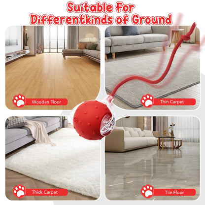 Interactive Cat Toys for Indoor Cats,Usb Rechargeable, Fast Rolling Cat Ball Toy on Rug, Bird Chirping & Motion Activated Cat Ball, Anti-Depression Pet Toy Fun Gift with Light,Playtime Exercise Entertainment