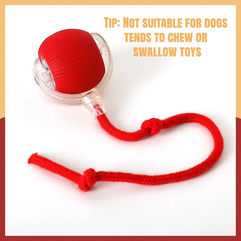 Interactive Cat Toys for Indoor Cats,Usb Rechargeable, Fast Rolling Cat Ball Toy on Rug, Bird Chirping & Motion Activated Cat Ball, Anti-Depression Pet Toy Fun Gift with Light,Playtime Exercise Entertainment
