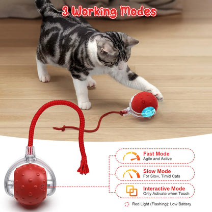 Interactive Cat Toys for Indoor Cats,Usb Rechargeable, Fast Rolling Cat Ball Toy on Rug, Bird Chirping & Motion Activated Cat Ball, Anti-Depression Pet Toy Fun Gift with Light,Playtime Exercise Entertainment